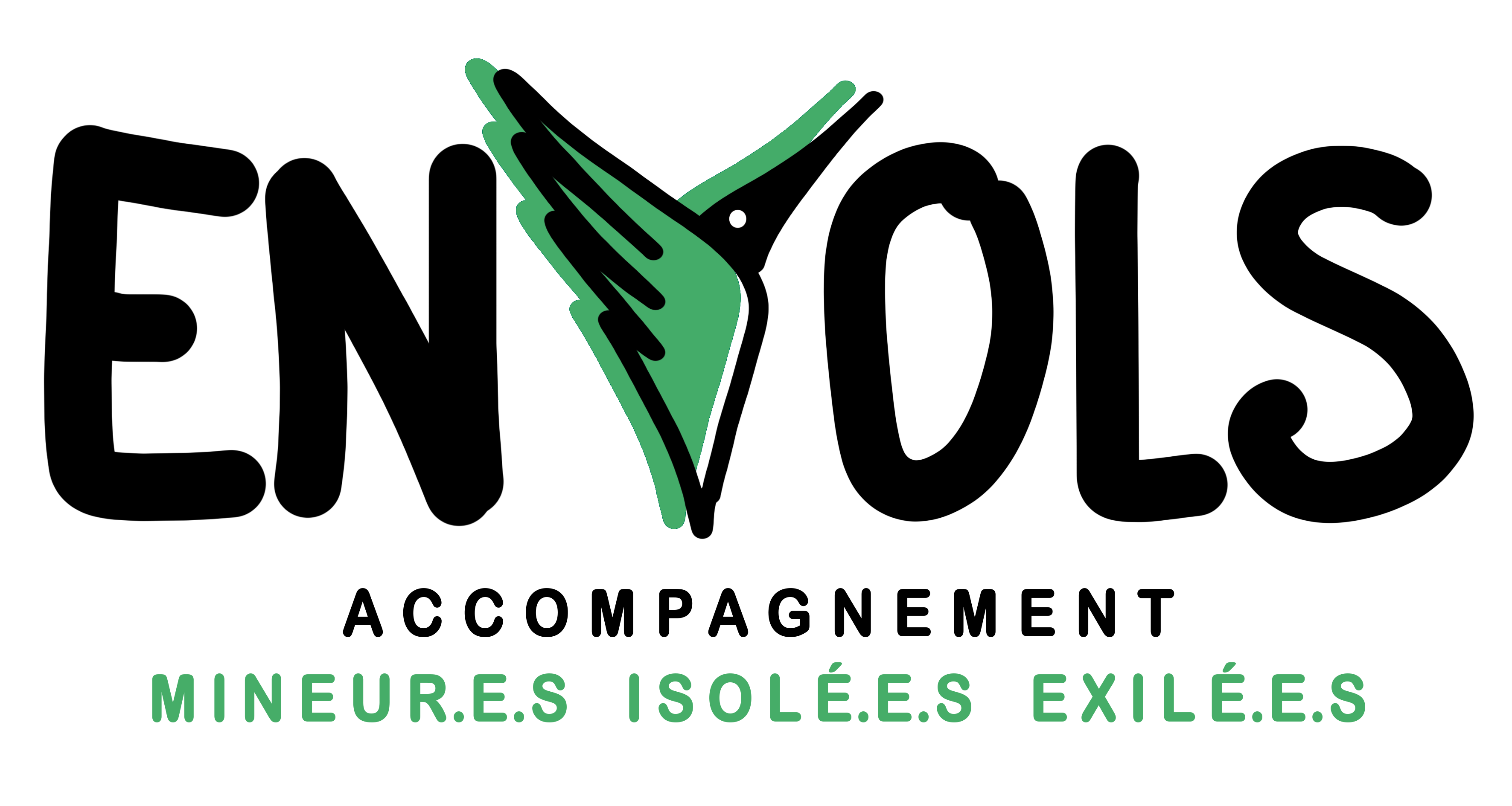 Logo Association Envols